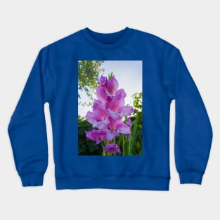 gladiolus Crewneck Sweatshirt